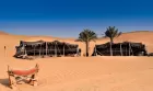 Abu Dhabi Desert Safari with dune bashing and camel rides included in Dubai Tours