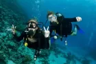 Colorful coral reefs and tropical fish in Red Sea