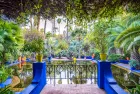 Enjoy a private tour of Majorelle Gardens in Morocco