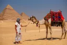 Camel ride at Giza Pyramids experience