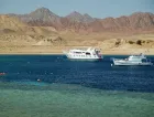 Snorkeling Trip to Ras Mohammed from Sharm El Sheikh