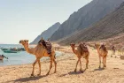 Dahab day trip with desert safari experience