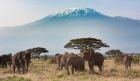 Mount Kilimanjaro