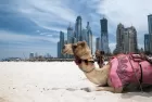 Experience Dubai desert adventure with BBQ dinner and camel rides on our Dubai Tours