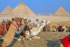 Discover the Great Pyramids of Giza as a highlight of your 8-day Egypt Tour through ancient Egypt.