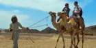Camel ride experience in the Hurghada desert during sunset