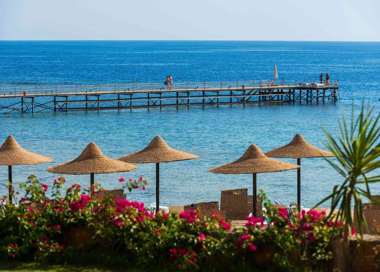 Marsa Alam Sightseeing